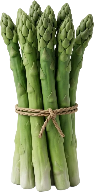 Spargel