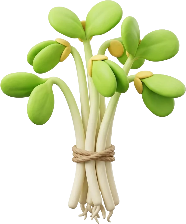 Sojasprossen