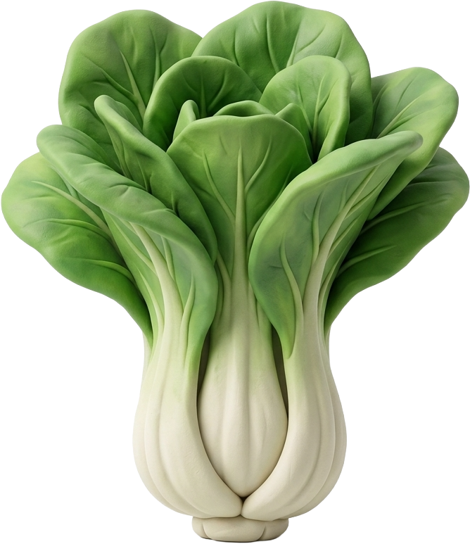 청경채