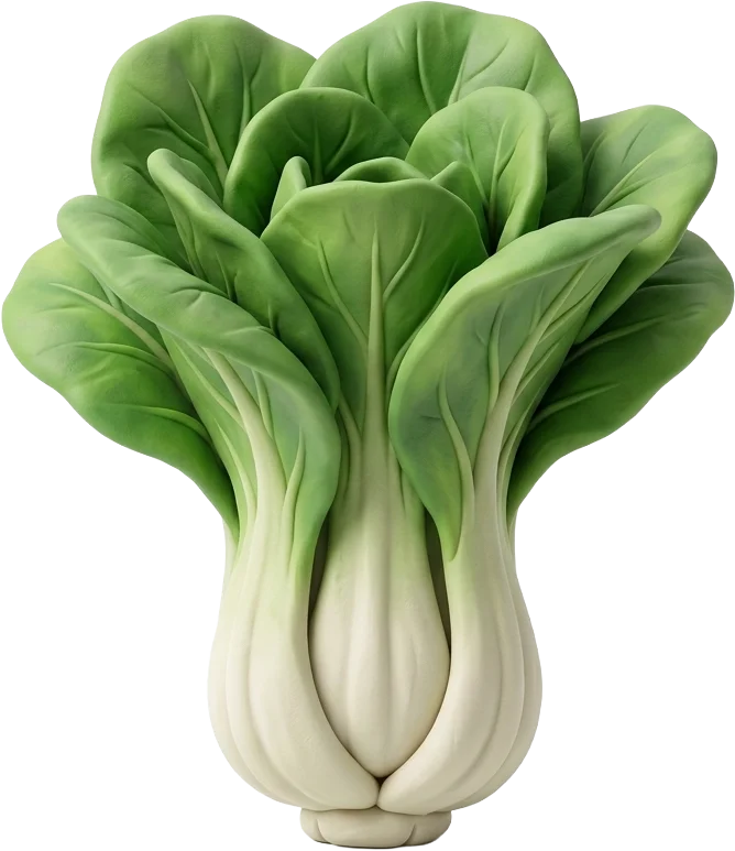 Pak Choi