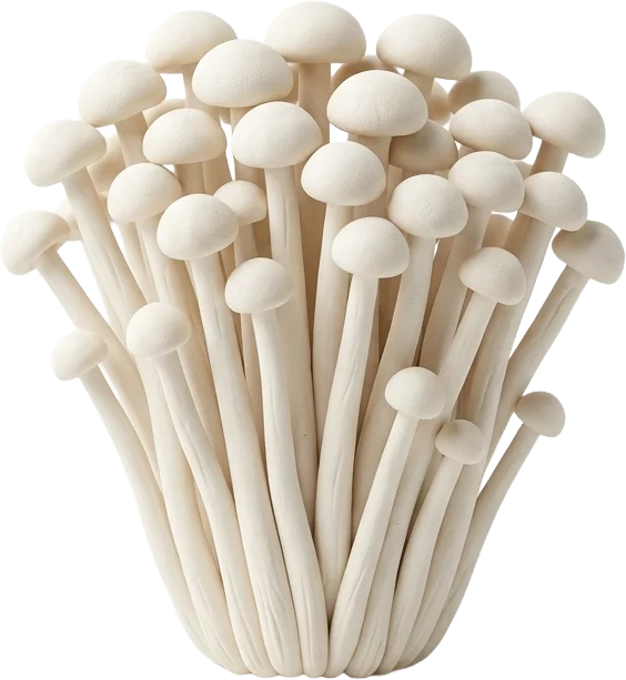 Enoki-Pilz