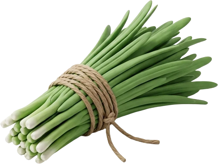 Knoblauch-Schnittlauch
