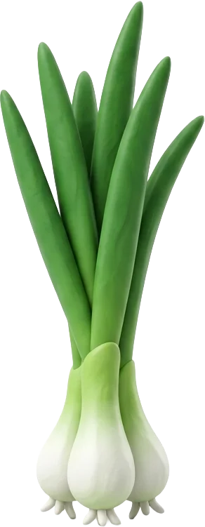 Frühlingszwiebel