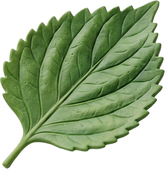 깻잎