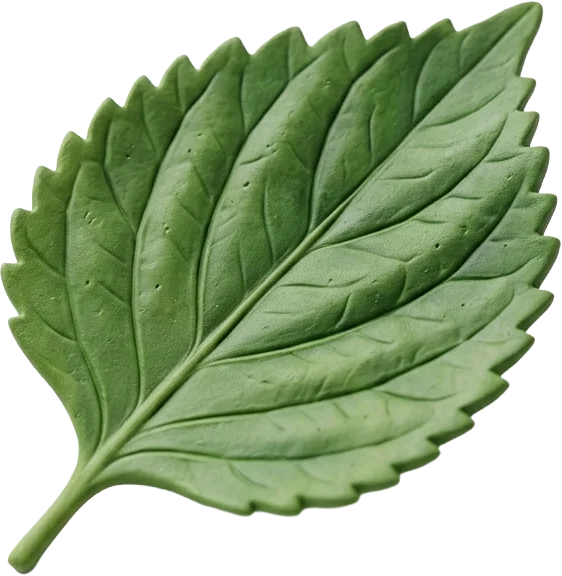 Perillablatt